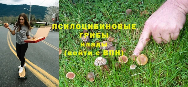 2c-b Абинск