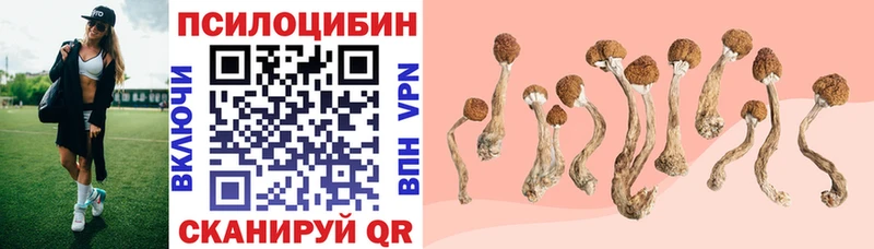 закладка  Раменское  Псилоцибиновые грибы MAGIC MUSHROOMS 